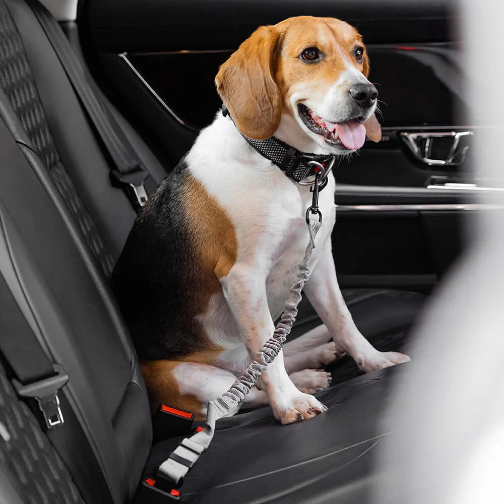 High Grade Dog Car Safety Belt