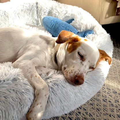 Dog Bed Donut Cuddler