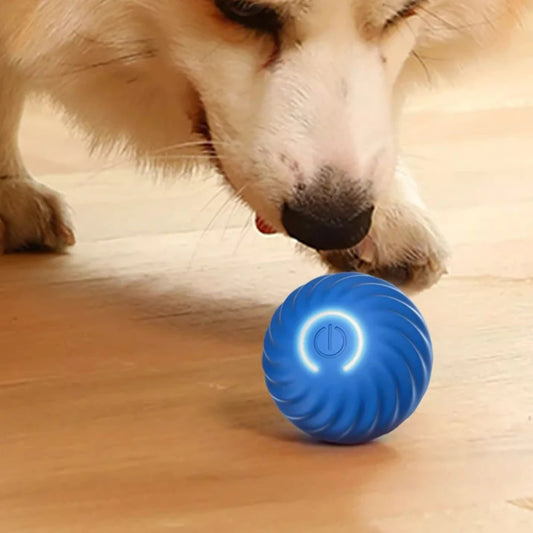 Electronic Moving Ball Toy