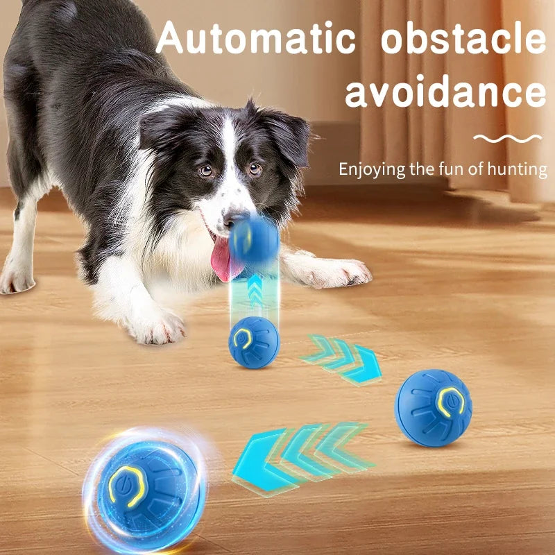 Electronic Moving Ball Toy