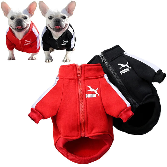 Small Dog Winter Jacket