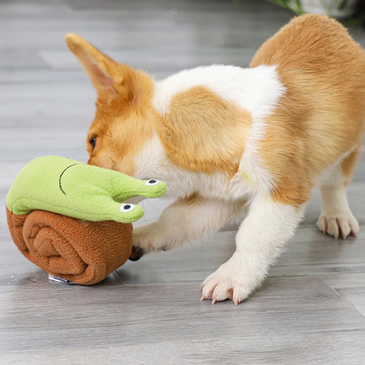 Squeak Puzzle Dog Toy